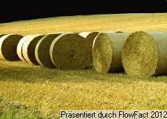 Jessen, Ortsteil: VERKAUFT Landwirtschaftsflächen ca. 25,7 Hektar! Jessen, Ortsteil: VERKAUFT Landwirtschaftsflächen ca. 25,7 Hektar!