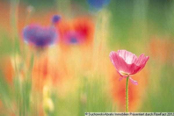 Drahnsdorf: VERKAUFT Gartenland ! 