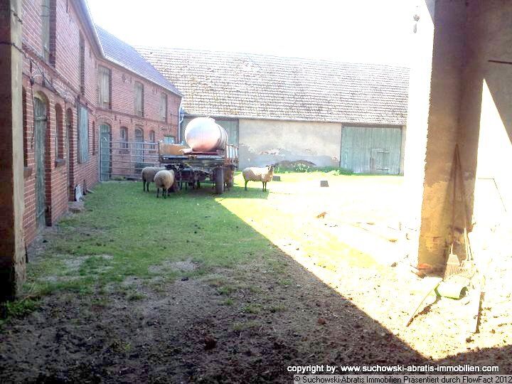 Schönewalde: VERKAUFT *** Authentischer Vierseitenhof mit Stallungen und Scheune, Zupacht oder Zukauf von Grünland evtl. möglich ***  Schönewalde: VERKAUFT *** Authentischer Vierseitenhof mit Stallungen und Scheune, Zupacht oder Zukauf von Grünland evtl. möglich ***