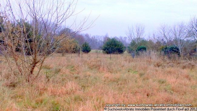Bersteland: VERKAUFT *** Schönes Baugrundstück Nähe Lübben *** Provisionsfrei für den Käufer im Alleinauftrag. Bersteland: VERKAUFT *** Schönes Baugrundstück Nähe Lübben *** Provisionsfrei für den Käufer im Alleinauftrag.