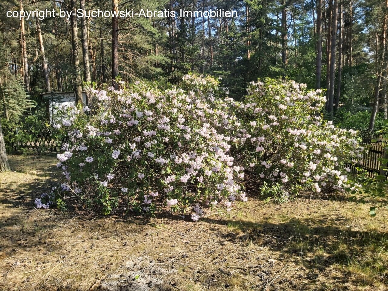 Groß Köris: *** Ein schönes Grundstück mit Wochenendhaus in Seenähe, Neubau bis 70 m ² Grundfläche oder Erweiterung möglich *** Groß Köris: *** Ein schönes Grundstück mit Wochenendhaus in Seenähe, Neubau bis 70 m ² Grundfläche oder Erweiterung möglich ***
