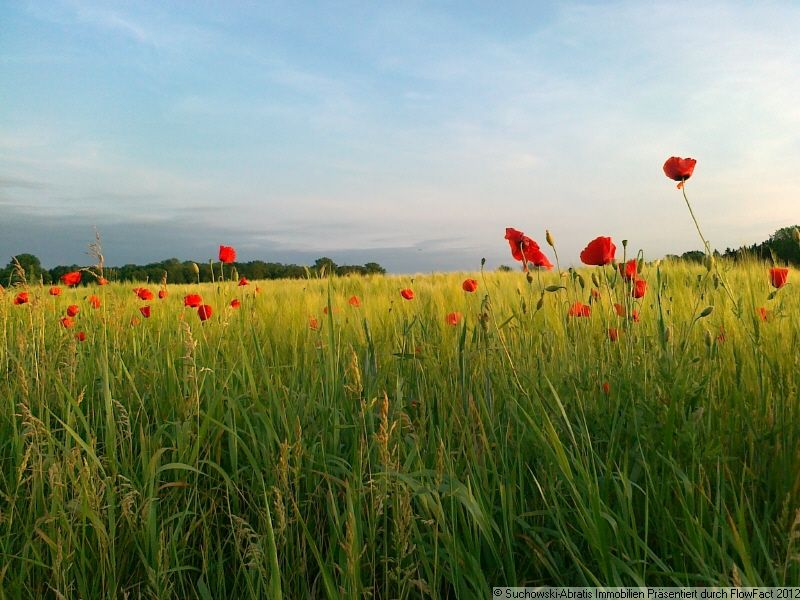 Landwirtschaft 2