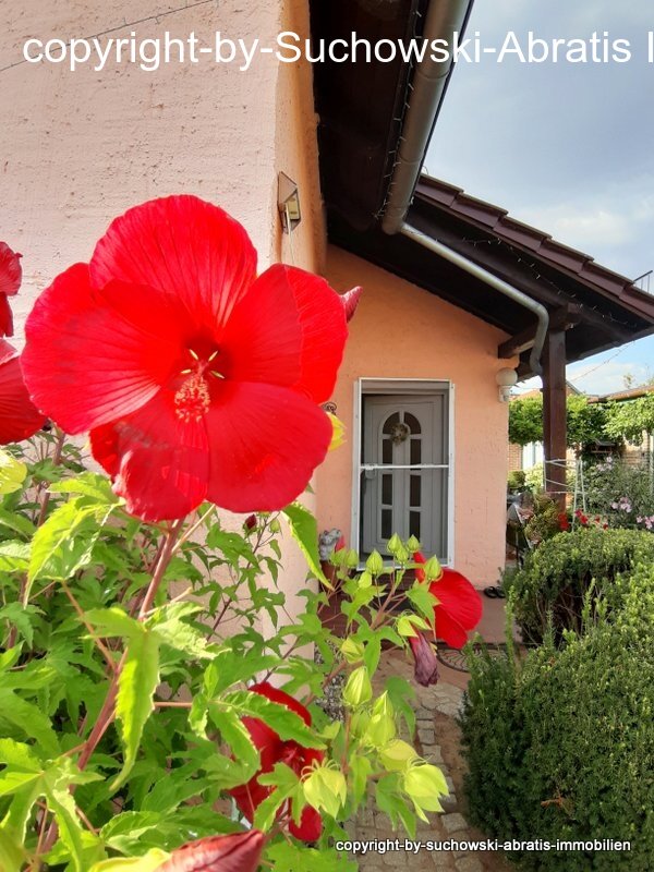 Schönewalde: `*** EFH mit EBK, 2 Bädern und Stallgebäude - saniert + modernisiert *** Schönewalde: `*** EFH mit EBK, 2 Bädern und Stallgebäude - saniert + modernisiert ***