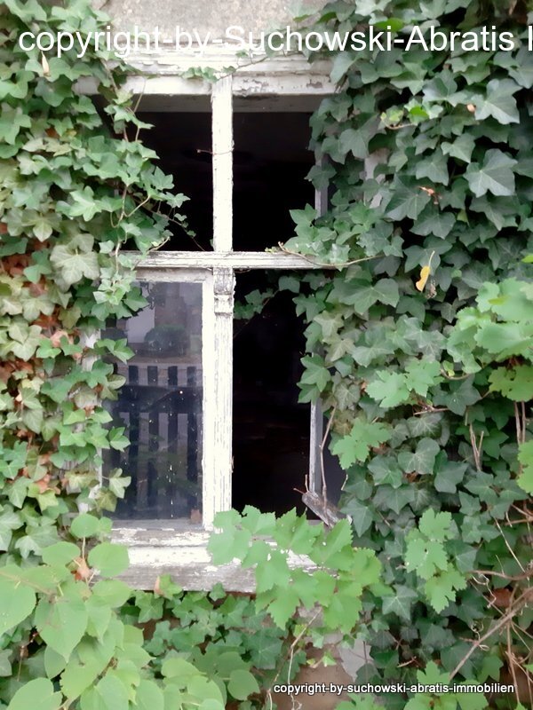 Schlepzig: *** DENK MAL über Denkmal nach - Fachwerk Wohngebäude am Wasser mit kleinem Grundstück in begehrter Lage *** Schlepzig: *** DENK MAL über Denkmal nach - Fachwerk Wohngebäude am Wasser mit kleinem Grundstück in begehrter Lage ***