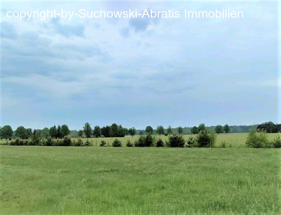Krauschwitz: *** Grünland - ca. 3,3 ha - Großteil arrondiert ***  Krauschwitz: *** Grünland - ca. 3,3 ha - Großteil arrondiert ***
