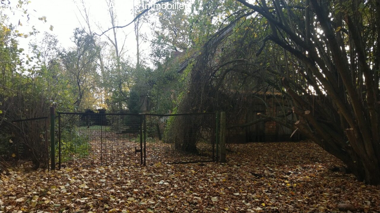 Luckau-Nähe: *** ALLEINLAGE mit knapp 1,6 ha Land *** Bauernhaus im Dornröschenschlaf Luckau-Nähe: *** ALLEINLAGE mit knapp 1,6 ha Land *** Bauernhaus im Dornröschenschlaf