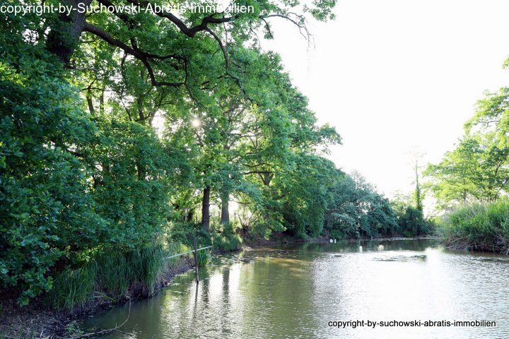 Jessen: *** Vierseithof am Wasser mit 3 Wohnungen, biologischer Schwimmteich, Sauna, Werkstatt, Garage, großes Grundstück u.v.m. Jessen: *** Vierseithof am Wasser mit 3 Wohnungen, biologischer Schwimmteich, Sauna, Werkstatt, Garage, großes Grundstück u.v.m.