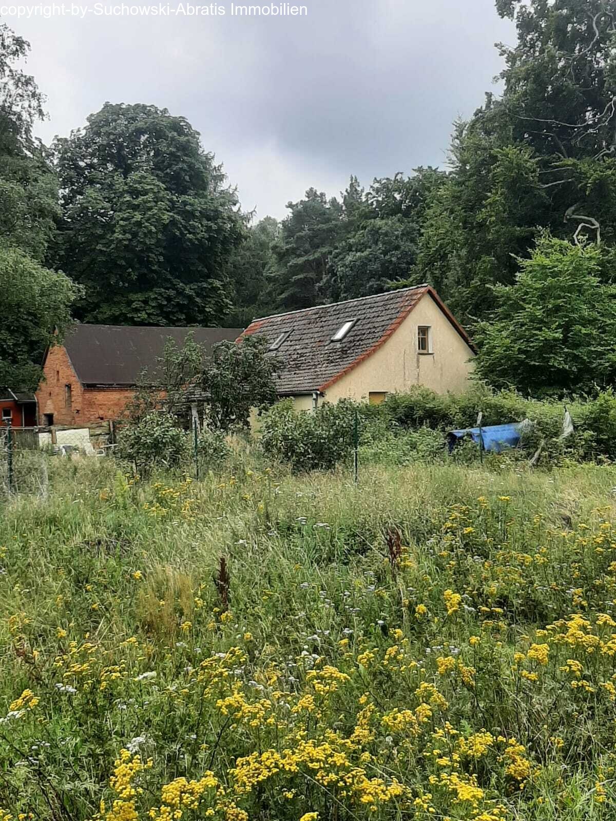 Aussenansicht 3