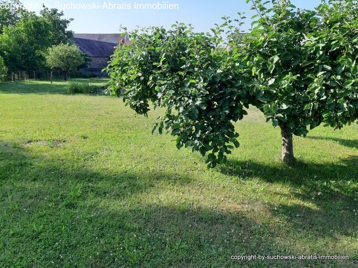 Garten Teilansicht 9