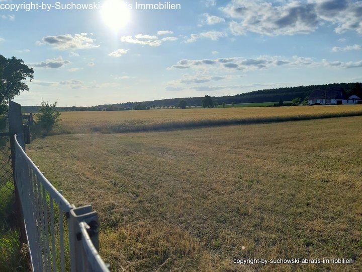 Grundstück hinten Bild 2