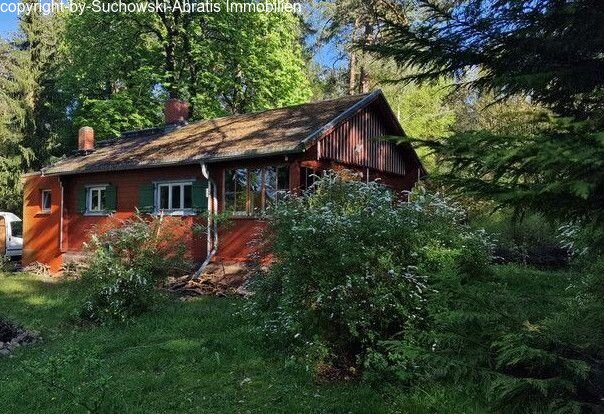 Wiesenburg: *** Am Wald zuhause: kleines Holzhaus mit besonderem Charme *** 