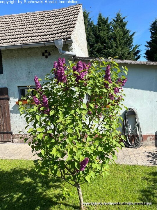 Stall Teilansicht 02