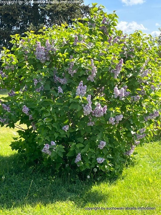 Grundstück Teilansicht 1