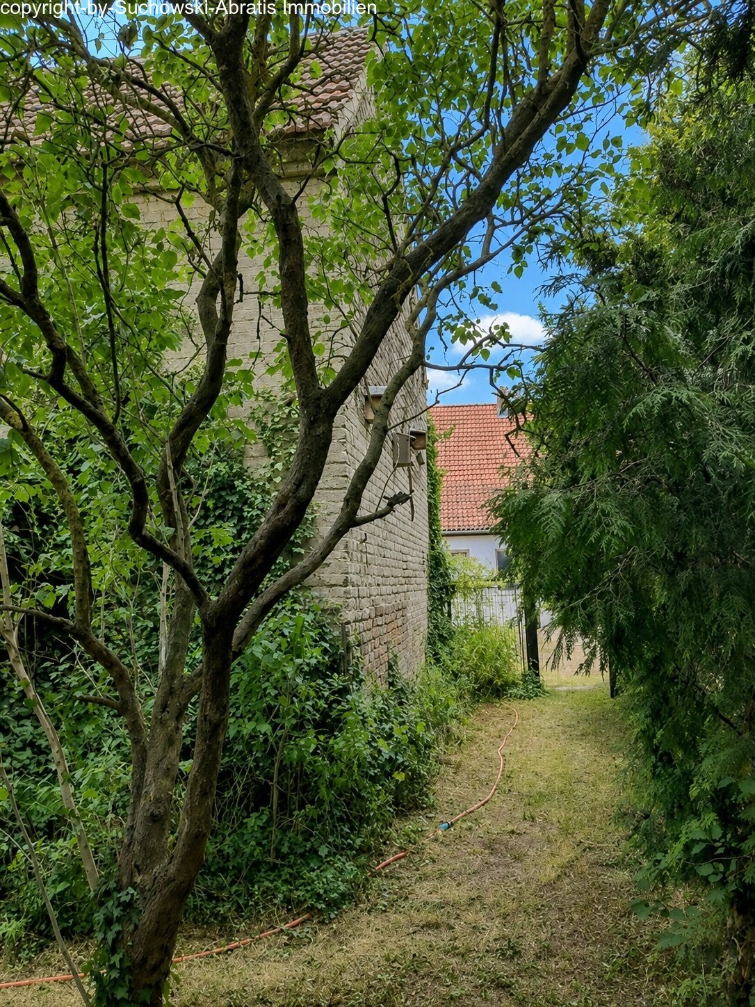 Stallscheune Blick zum Wohnhaus 1