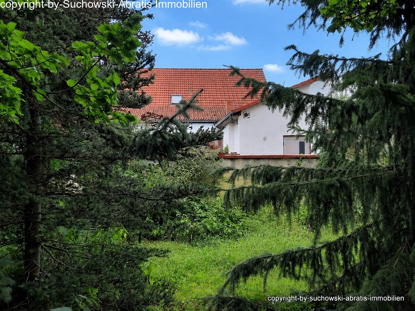 Wohnhaus von hinten 3